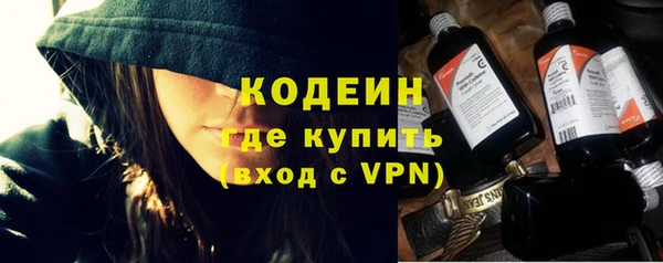 стаф Гусь-Хрустальный