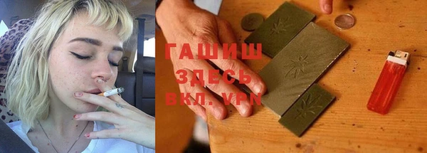 стаф Гусь-Хрустальный