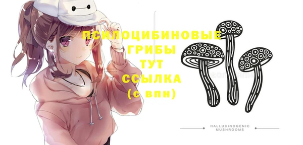 СК Гусев
