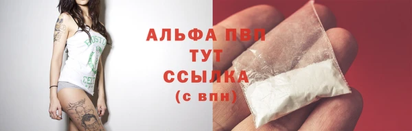 СК Гусев