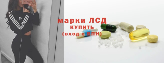 СК Гусев