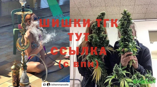 СК Гусев