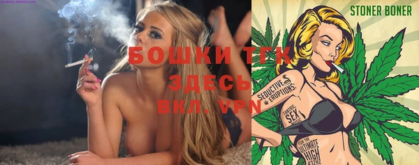 стаф Гусь-Хрустальный