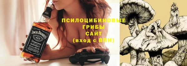 стаф Гусь-Хрустальный