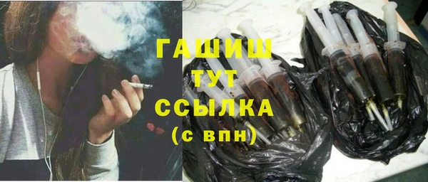 стаф Гусь-Хрустальный