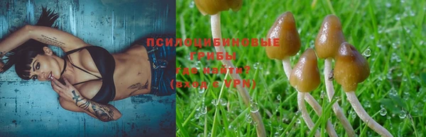 СК Гусев