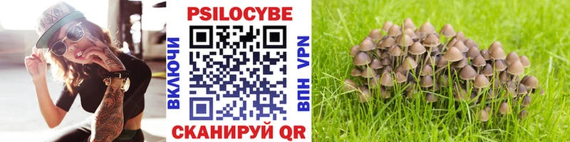 Псилоцибиновые грибы Magic Shrooms  купить наркотики цена  Магнитогорск 