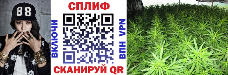 купить   Магнитогорск  МАРИХУАНА Bruce Banner 